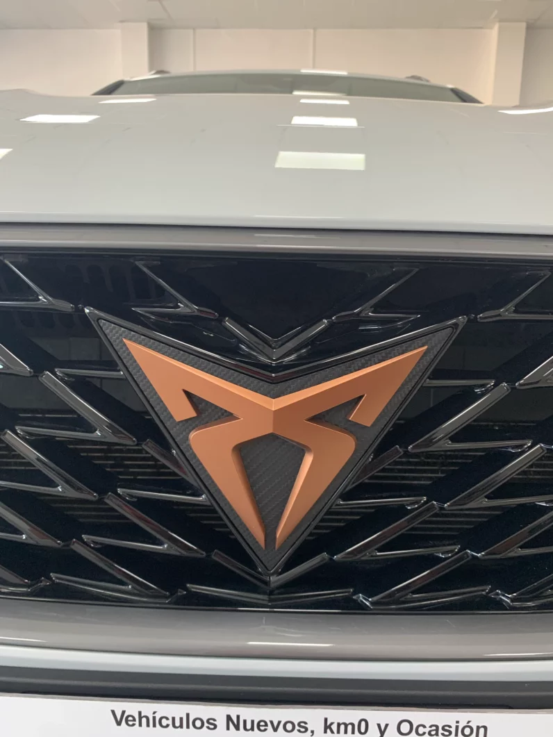 
								CUPRA Formentor 2.0 TSI 180kW 245 CV VZ DSG 5p full									