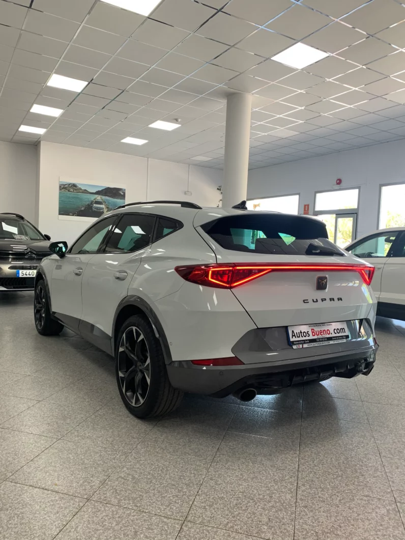 
								CUPRA Formentor 2.0 TSI 180kW 245 CV VZ DSG 5p full									