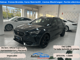 CUPRA FORMENTOR VZ 2.0 TSI 310CV