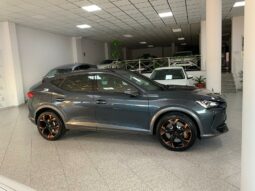 
										CUPRA FORMENTOR VZ 2.0 TSI 310CV full									