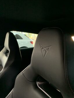 
										CUPRA FORMENTOR VZ 2.0 TSI 310CV full									