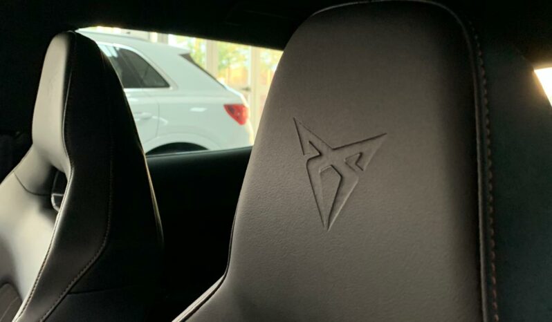 
								CUPRA FORMENTOR VZ 2.0 TSI 310CV full									