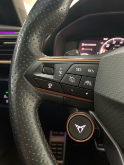 
										CUPRA FORMENTOR VZ 2.0 TSI 310CV full									