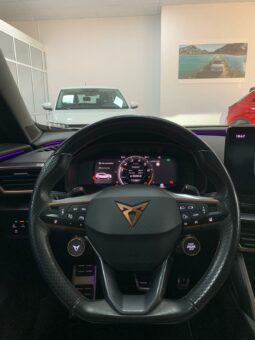 
										CUPRA FORMENTOR VZ 2.0 TSI 310CV full									