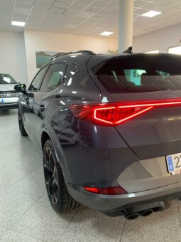 
										CUPRA FORMENTOR VZ 2.0 TSI 310CV full									