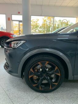 
										CUPRA FORMENTOR VZ 2.0 TSI 310CV full									