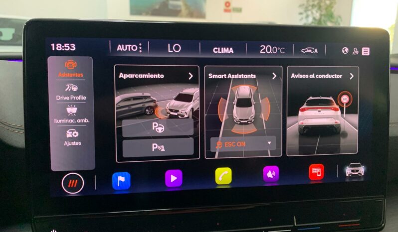 
								CUPRA FORMENTOR VZ 2.0 TSI 310CV full									