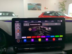 
										CUPRA FORMENTOR VZ 2.0 TSI 310CV full									