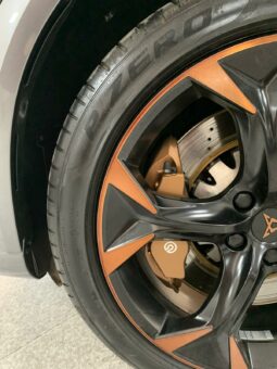 
										CUPRA FORMENTOR VZ 2.0 TSI 310CV full									