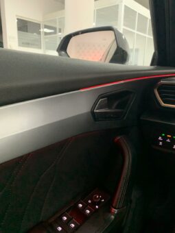 
										CUPRA FORMENTOR VZ 2.0 TSI 310CV full									
