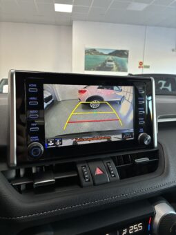 
										Toyota RAV4 2.5L Advanced Plus 225H full									