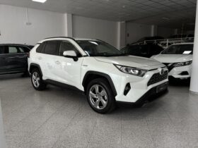 Toyota RAV4 2.5L 225H ADVACED PLUS
