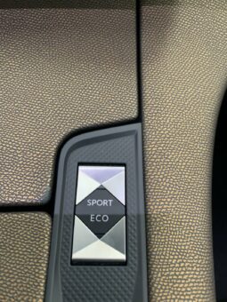 
										DS7 Crossback 2.0BHDI So Chic 180CV EAT8 full									